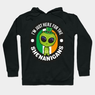 I'm just here for the shenanigans Hoodie